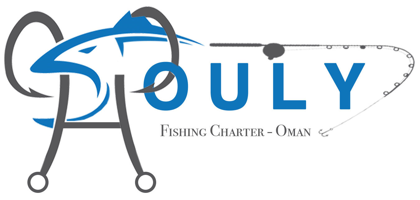 alhouly_logo