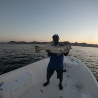 GOPR0218