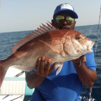 Alhouly Fishing