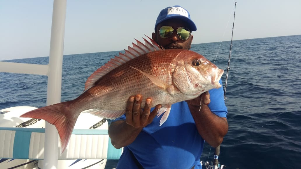 Alhouly Fishing